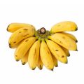Fresh Karpuravalli Banana