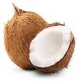 Organic Brown Coconut