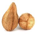Semi Husked Brown Coconut
