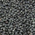 Natural Ganesh Seeds black gram