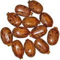 Natural Brown Ganesh Seeds Hybrid Castor Seeds