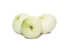 fresh white onion