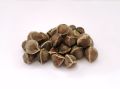 Organic Raw Dark Brown 10kg morings seeds
