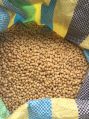 Nature Organic top grade soybeans seeds