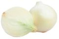round Greeble white onion