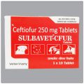 Sulbavet CFUR Tab 250 mg