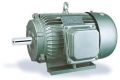 Green Three Phase Induction Motor