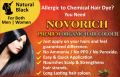 Novotek Natural Black Powder Organic Hair Color