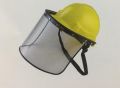Face Shield with Guard