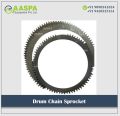 AASPA Stainless Steel Polished drum chain sprocket