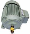 Electric Grey New Manual 220V SingleTwo Ac Induction Motor