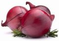 Fresh Maharashtra Red Onion
