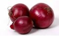Fresh Nashik Red Onion