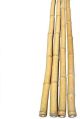Natural Bamboo Pole