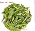 Raw Green Organic & Non Organic Dried Curry Leaves