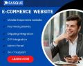 Ecommerce website provide