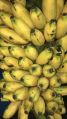 Yellow Yellow Organic Common Advaya elachi banana