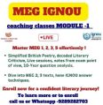 MEG IGNOU coaching