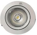 led cob light