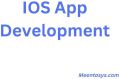 ios application development service