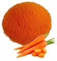 Dry Carrot Powder