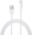 WHITE 10 iphone data cable