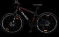 Trust  29ER - MTB single speed Bike