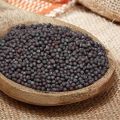 Organic Black Mustard Seeds