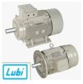 Lubi Electric AC Motor