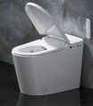 Automatic Smart Toilet