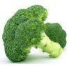 Green Green fresh broccoli