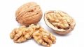 Brown 1836 walnut kernels