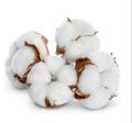 Pure Cotton Plain white kapas cotton
