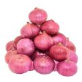 A Grade Big Red Onion