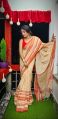 Jagg Hastkala Silk Unstitched Multicolor dhaniyakhali design saree
