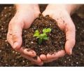 Soil Micronutrients Testing Service