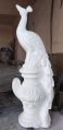 White Marble Peacock Statue