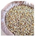 Natural Pearl Millet