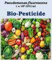 Pseudomonas Fluorescens Bio Pesticide