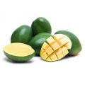 Fresh Raw Green Mango