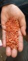 Powder ayurvedic havan samagri