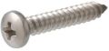 Silver Round CF Stainless Steel Screws
