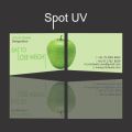 Spot UV Coated Business Cards One Side Printing