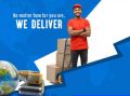 domestic courier cargo services