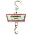 Hanging Scale100 kg x 10 gm