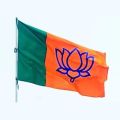 BJP Nylon Flag