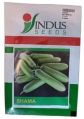 Indus Cucumber Seeds