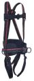 Safety Harness with 3 Adjustment &amp;amp; 2 Attachment Points