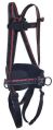 Safety Harness with 3 Adjustment &amp;amp; 3 Attachment Points