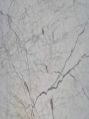 White Venatino Marble